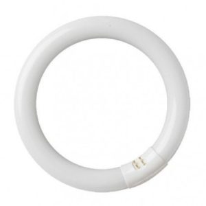 Lamp Circ. T9 22W G10Q 6400K