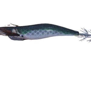 OWNER SQUID LURE DRAW4 3.0 (024)