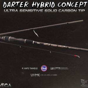 CANA DARTER HYBRID CONCEPT 300