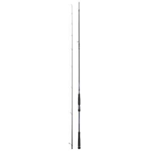 Cana Daiwa Labrax SB 1002 HXHFS