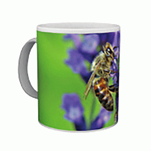 Caneca apicultura