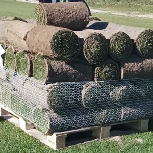 Paletes incompletas (até 50m2)