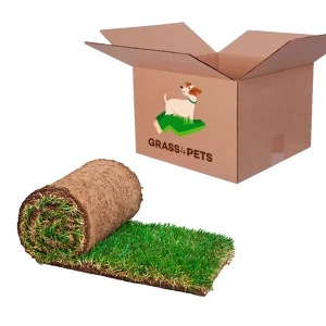GRASS4PETS subscrição