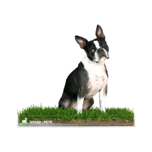 Grass4pets