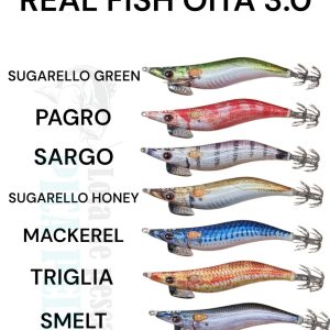 DTD REAL FISH OITA EGI 3.0