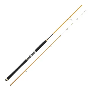 Cinnetic Cana jigging Sky Line Tanera Gold 240m