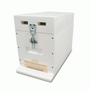 Poliestireno 6 quadros LYSON